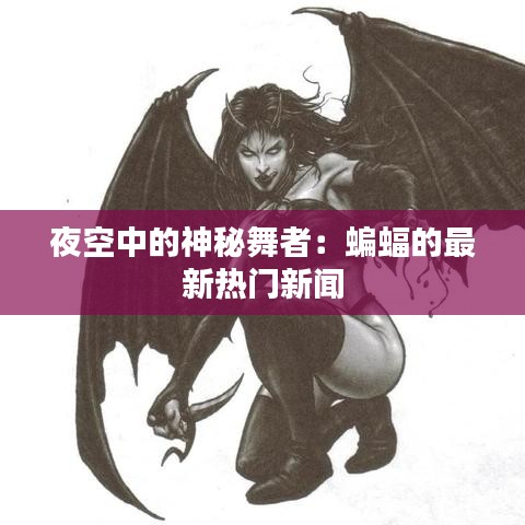 夜空中的神秘舞者：蝙蝠的最新热门新闻