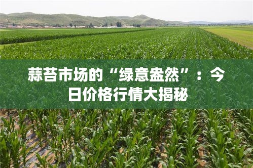 蒜苔市场的“绿意盎然”：今日价格行情大揭秘