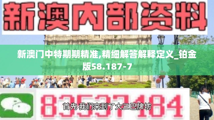 新澳门中特期期精准,精细解答解释定义_铂金版58.187-7