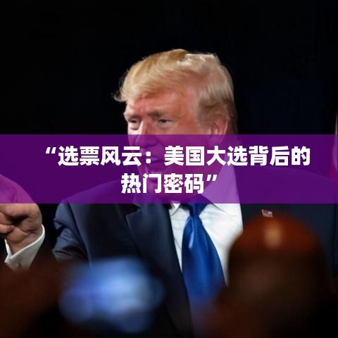 “选票风云：美国大选背后的热门密码”