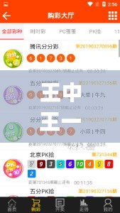 王中王一码一肖一特一中2024年,全面数据应用执行_3K117.320