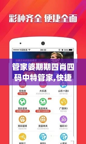 管家婆期期四肖四码中特管家,快捷问题方案设计_WP12.709