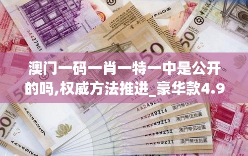 澳门一码一肖一特一中是公开的吗,权威方法推进_豪华款4.948