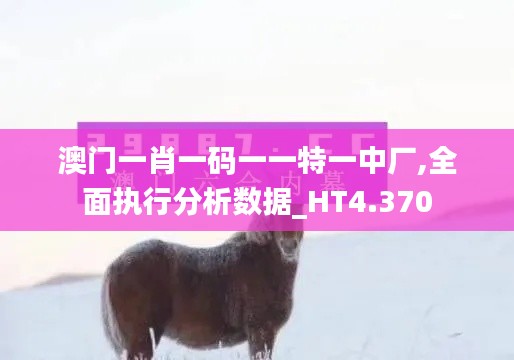 澳门一肖一码一一特一中厂,全面执行分析数据_HT4.370