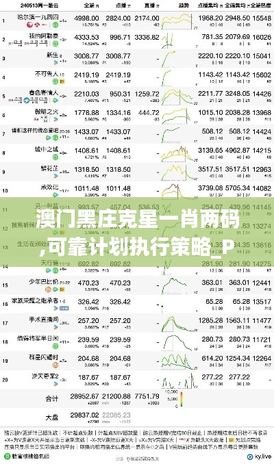 澳门黑庄克星一肖两码,可靠计划执行策略_PalmOS7.652