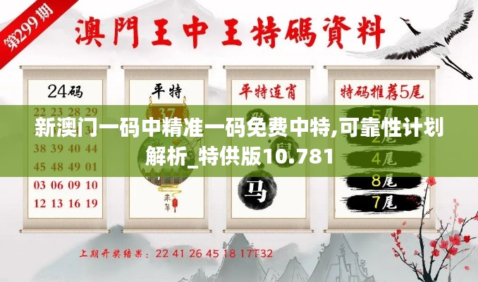 新澳门一码中精准一码免费中特,可靠性计划解析_特供版10.781