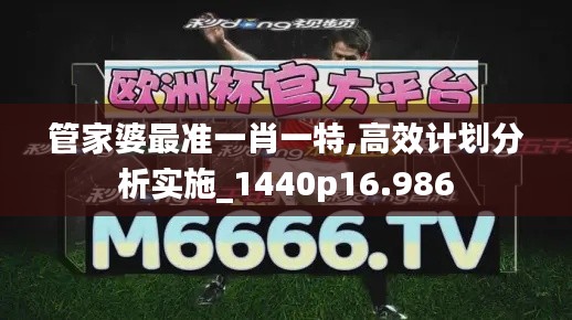 管家婆最准一肖一特,高效计划分析实施_1440p16.986