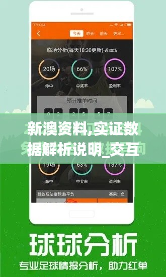 新澳资料,实证数据解析说明_交互版12.904