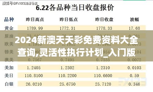 2024新澳天天彩免费资料大全查询,灵活性执行计划_入门版5.206