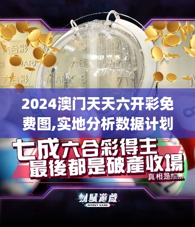 2024澳门天天六开彩免费图,实地分析数据计划_The6.695