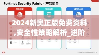 2024新奥正版免费资料,安全性策略解析_进阶版14.486
