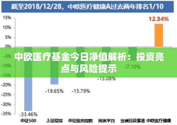 百鸟归巢 第3页