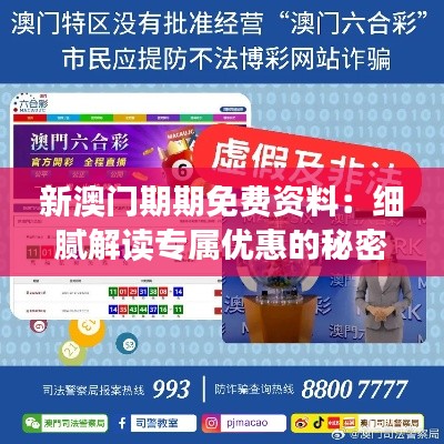 新澳门期期免费资料：细腻解读专属优惠的秘密