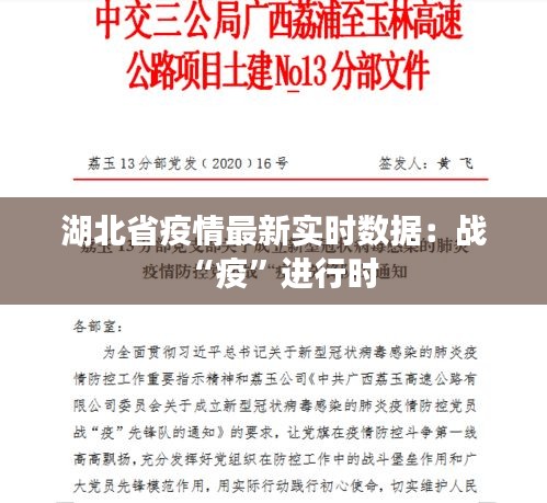 湖北省疫情最新实时数据：战“疫”进行时