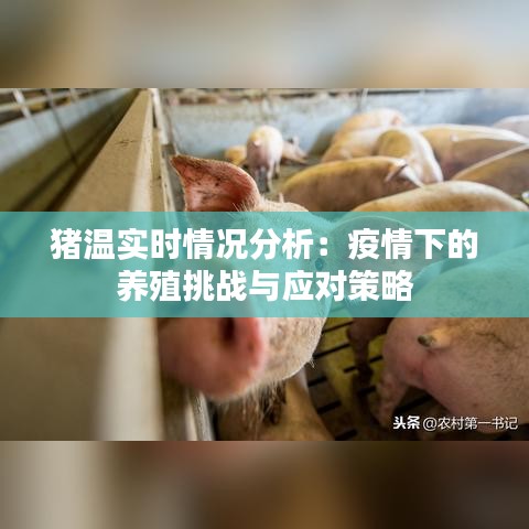 宁静致远 第2页