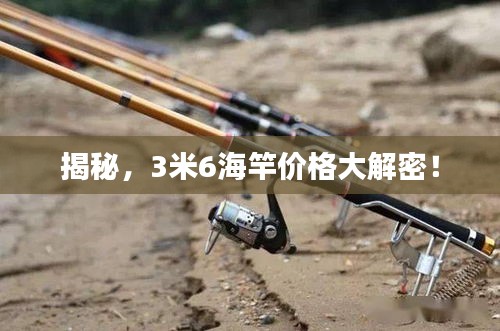 粗枝大叶 第2页