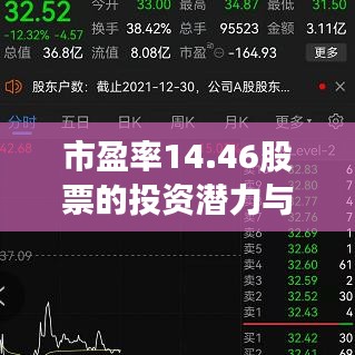 市盈率14.46股票的投资潜力与风险评估深度解析