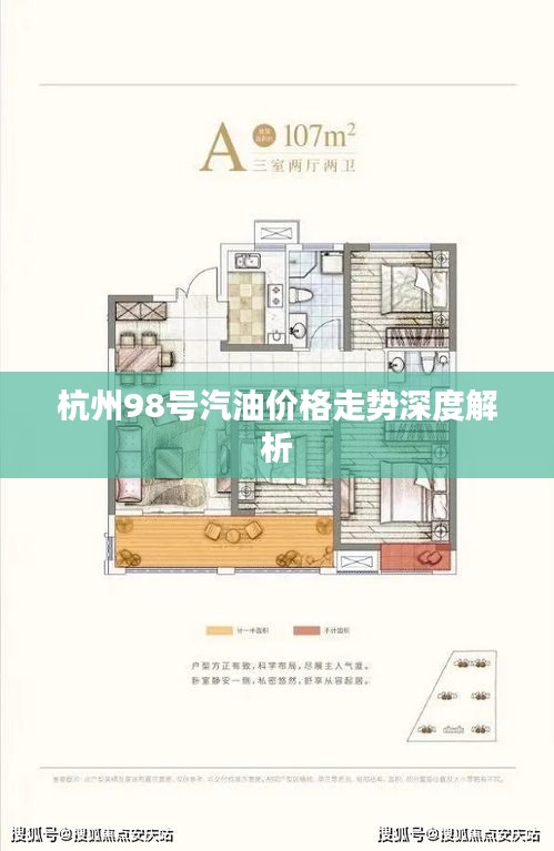 杭州98号汽油价格走势深度解析