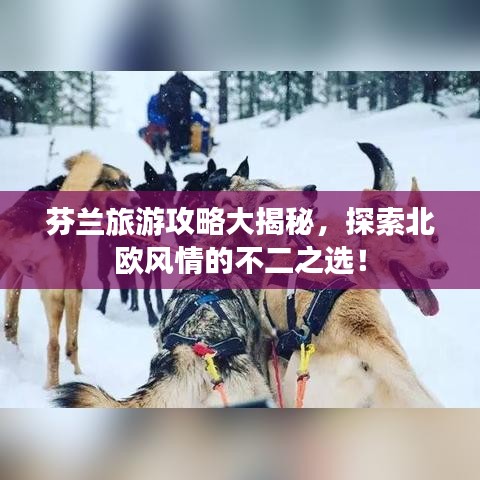 无冬无夏
