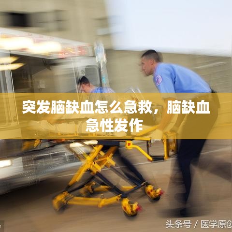 窗明几净