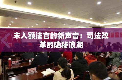 未入额法官的新声音：司法改革的隐秘浪潮