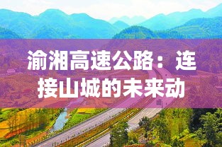 合作流程 第221页
