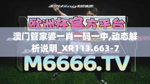 澳门管家婆一肖一码一中,动态解析说明_XR113.663-7