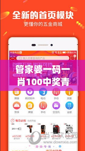 管家婆一码一肖100中奖青岛,实地计划验证数据_高级款45.979