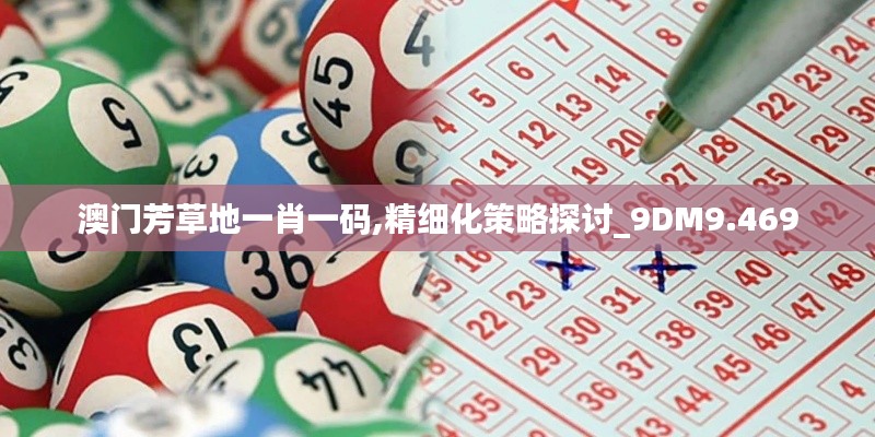 澳门芳草地一肖一码,精细化策略探讨_9DM9.469