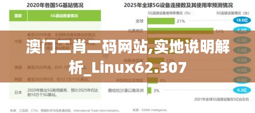 澳门二肖二码网站,实地说明解析_Linux62.307