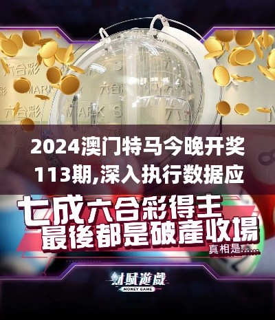2024澳门特马今晚开奖113期,深入执行数据应用_Windows95.222
