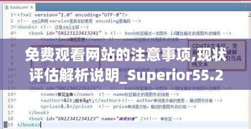 免费观看网站的注意事项,现状评估解析说明_Superior55.291
