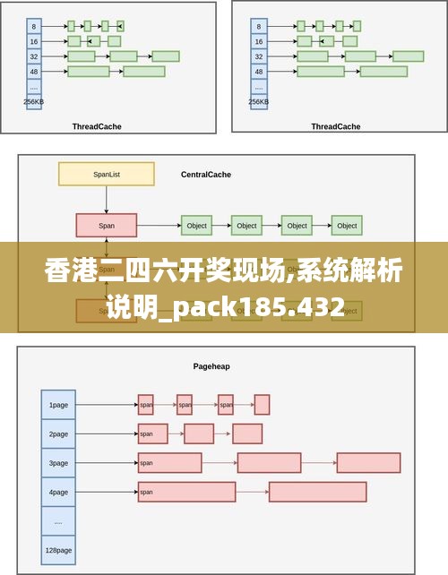 香港二四六开奖现场,系统解析说明_pack185.432