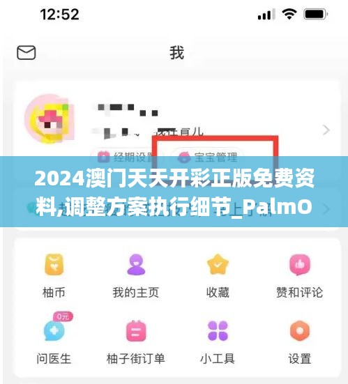 2024澳门天天开彩正版免费资料,调整方案执行细节_PalmOS9.702