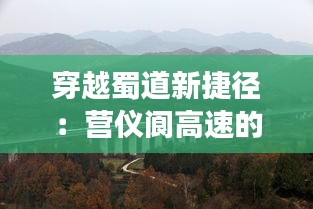 穿越蜀道新捷径：营仪阆高速的繁华之旅