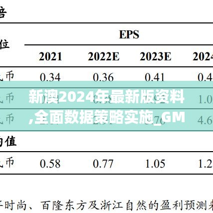新澳2024年最新版资料,全面数据策略实施_GM版35.627