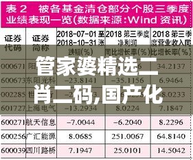 管家婆精选二肖二码,国产化作答解释定义_M版13.387