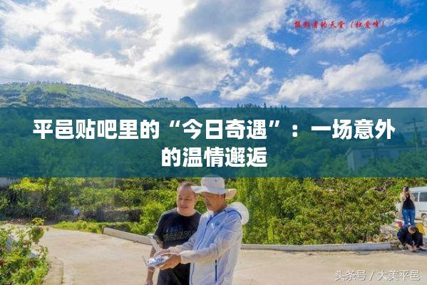 合同样本 第282页