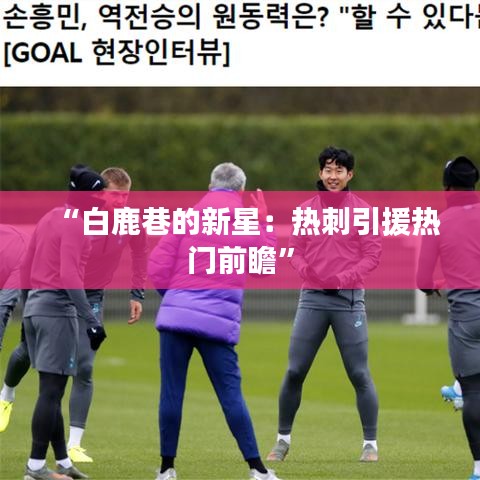 “白鹿巷的新星：热刺引援热门前瞻”