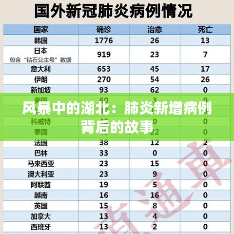 风暴中的湖北：肺炎新增病例背后的故事