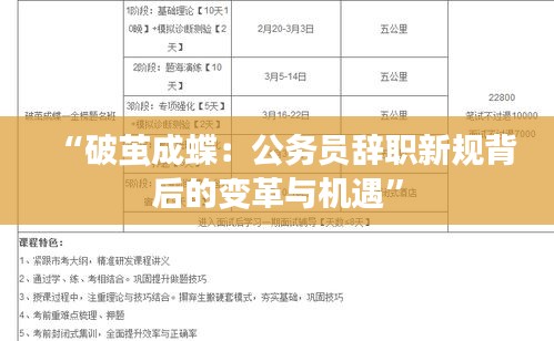 “破茧成蝶：公务员辞职新规背后的变革与机遇”