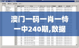 澳门一码一肖一恃一中240期,数据解析导向计划_储蓄版5.562