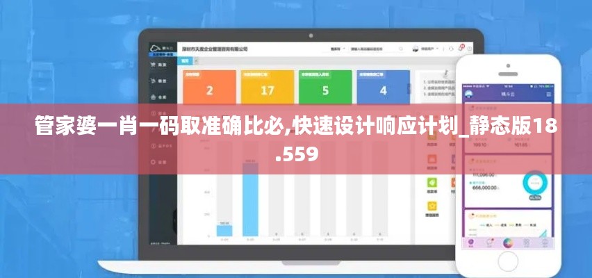管家婆一肖一码取准确比必,快速设计响应计划_静态版18.559