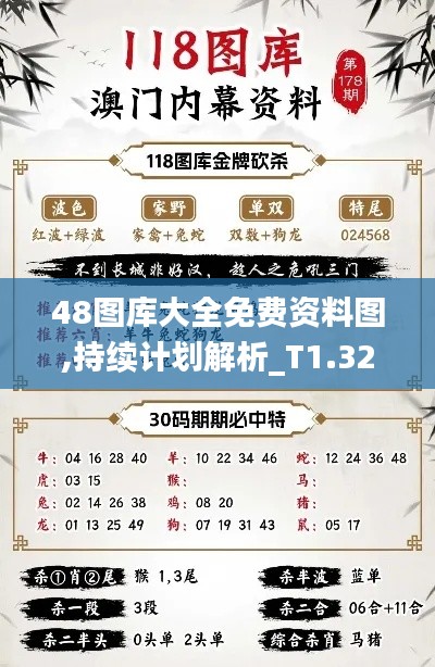 48图库大全免费资料图,持续计划解析_T1.329