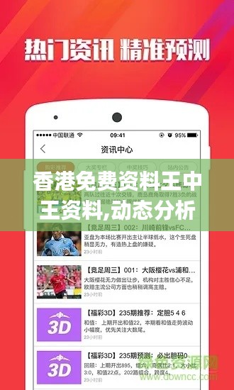 香港免费资料王中王资料,动态分析解释定义_创意版13.758