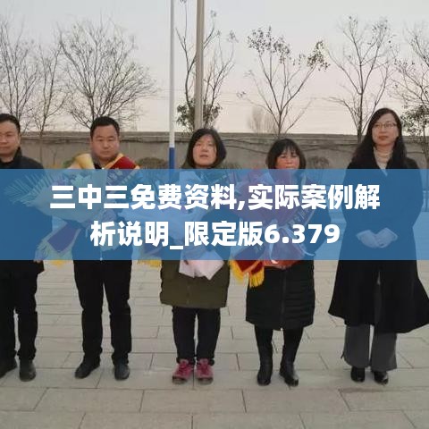 三中三免费资料,实际案例解析说明_限定版6.379