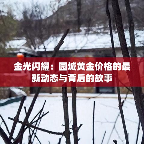 合作流程 第194页
