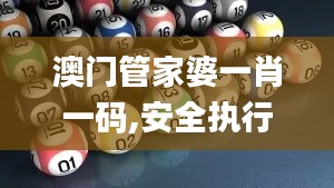 澳门管家婆一肖一码,安全执行策略_UHD款6.873