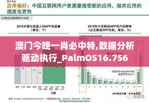 澳门今晚一肖必中特,数据分析驱动执行_PalmOS16.756
