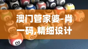 澳门管家婆-肖一码,精细设计解析_GT3.519